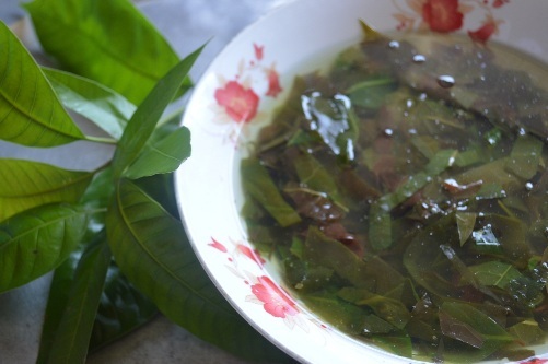 Nỗi nhớ canh lá nhíp - 2 Tô canh lá nhíp ngon lạ, ngon lùng