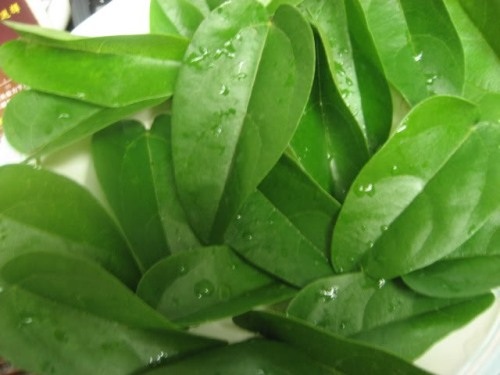 Bánh gio trong hổ phách - 2 Bánh gio trong hổ phách