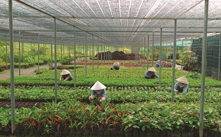 Phú Mỹ Hưng - Đô thị đáng sống - 7 Phú Mỹ Hưng - Đô thị đáng sống