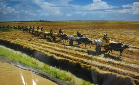 Hạt lúa Việt Nam xưa và nay - 13 Hạt lúa Việt Nam xưa và nay - 13