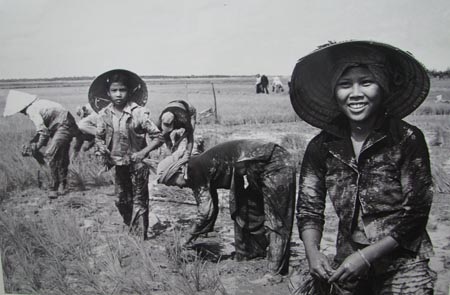 Hạt lúa Việt Nam xưa và nay - 6 Hạt lúa Việt Nam xưa và nay - 6