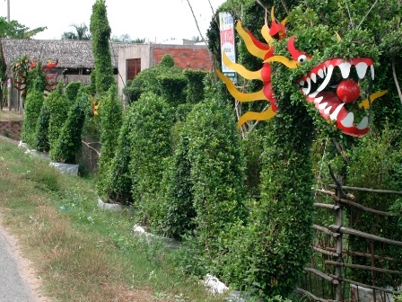 Kiểng rồng hối hả đón Tết Nhâm Thìn - 4 Kiểng rồng hối hả đón Tết Nhâm Thìn - 4