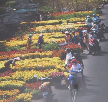 Sắc xuân ngập phố - 21