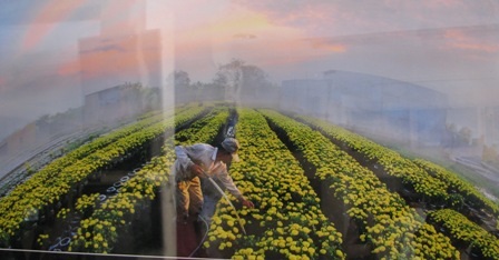 Sắc xuân ngập phố - 17