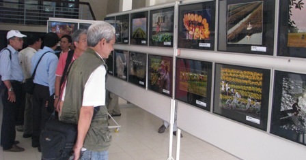 Sắc xuân ngập phố - 15