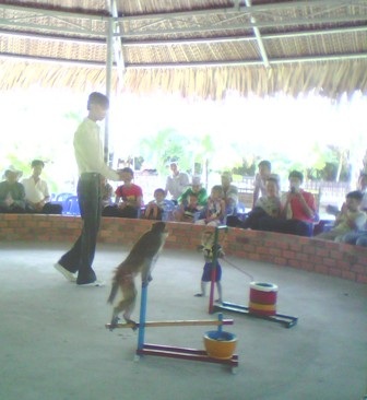 Đổ xô du lịch miệt vườn sông nước mừng Tết dương lịch - 3