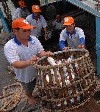 Năm nay, xuất khẩu cá tra sẽ đạt 2 tỷ USD  - 1
