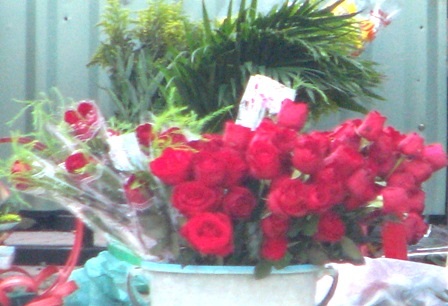 Nhộn nhịp giới trẻ bày bán hàng hoa ngày Valentine - 5 Nhộn nhịp giới trẻ bày bán hàng hoa ngày Valentine - 5