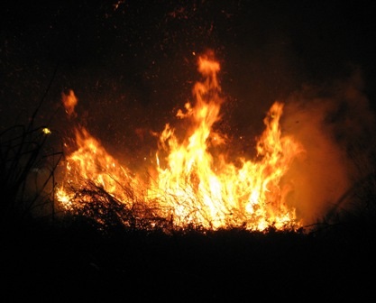 Cháy lớn làm “náo loạn” khu dân cư gần cầu Cần Thơ - 2