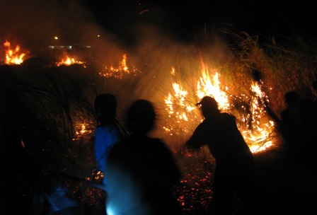 Cháy lớn làm “náo loạn” khu dân cư gần cầu Cần Thơ - 7