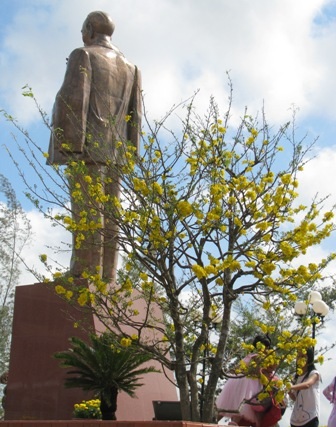 “Nỗi niềm” mai vàng cận giờ “G” - 5 “Nỗi niềm” mai vàng cận giờ “G” - 5