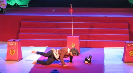 Xem lại màn độc thoại “nghệ sĩ già diễn kịch giữa đêm khuya” - 11 Xem lại màn độc thoại “nghệ sĩ già diễn kịch giữa đêm khuya” - 11