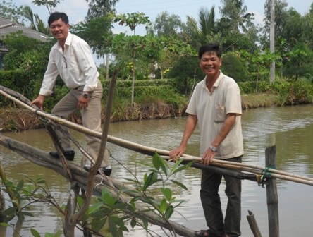  Ăn Tết ở vùng nông thôn nước lợ miền Tây - 6