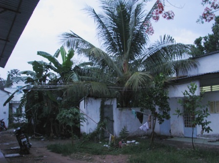 Mưa lớn bất thường hạ nhiệt cho phố phường