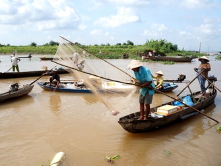 Người dân đang bắt cá gần khu vực vị sạt lở. (Ảnh: Báo Vĩnh Long)