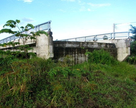 Cầu "hoành tráng" bị bỏ hoang vì... không có đường dẫn - 2 Bên bờ Trường Phú A bị cụt...