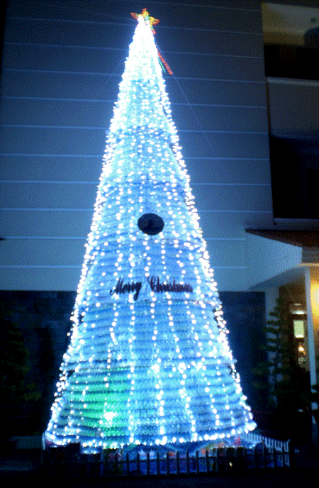 Ngàn lẻ một kiểu thông Noel chào đón Giáng sinh - 7 Cây thông Noel làm từ 7.000 chai nước uống ở Bến Tre, cao 9m. (Ảnh: Báo Đồng Khởi)