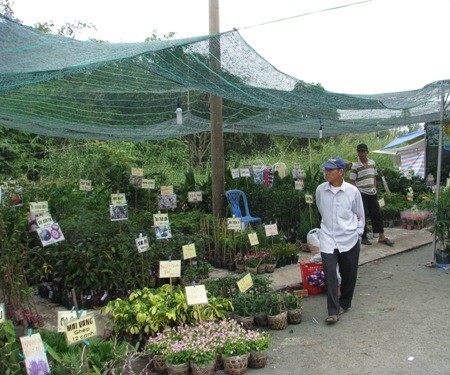 Nhân chứng kể lại vụ mấy chục tên cướp "đổ bộ" vào hội chợ - 4 Sau vụ cướp, nhiều người dân sợ không dám đến hội chợ. (Ảnh: Huỳnh Hải)