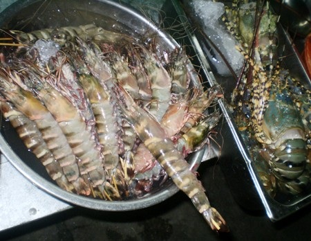 Tôm là một trong những mặt hàng rất được du khách lựa chọn để thưởng thức khi ra đảo Phú Quốc.