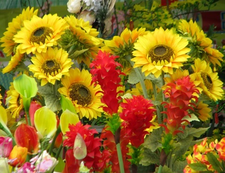 Hoa giả cũng đón xuân. (Ảnh: Huỳnh Hải)