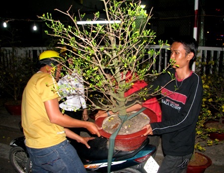 Hối hả “mang Tết” về nhà - 1 Tất bật mua dưa hấu về chưng Tết.