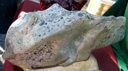 Hòn Cá heo, 13kg, 4 triệu đồng.