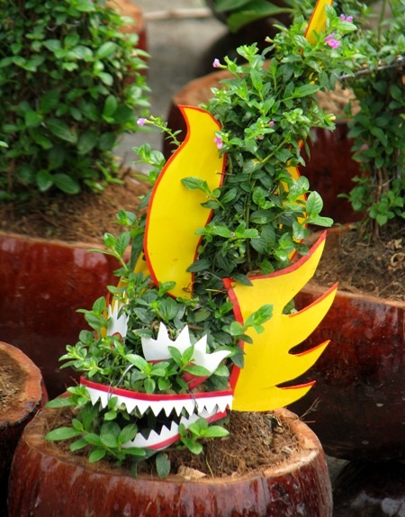 Đủ sắc hoa đua nhau khoe sắc.