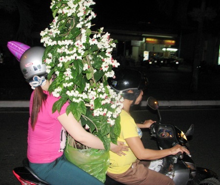 Hối hả “mang Tết” về nhà - 11 Hối hả đưa Tết về nhà trong đêm 27 tháng Chạp. (Ảnh: Huỳnh Hải).