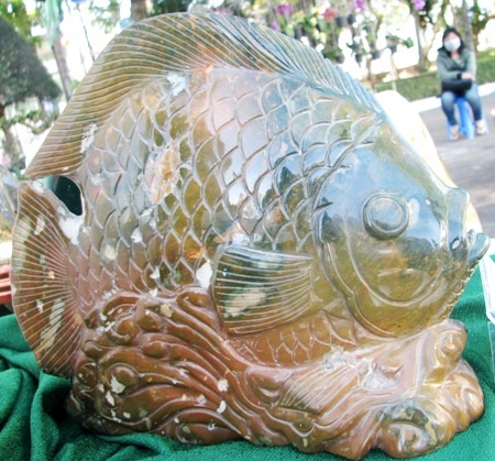 Hòn Thanh ngư, 9 triệu đồng.