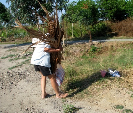 Tất bật gom rác từ đầu giờ chiều. (Ảnh: Huỳnh Hải)