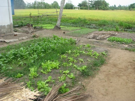 Hai người con trai của bà Lý trong ngày tang mẹ.