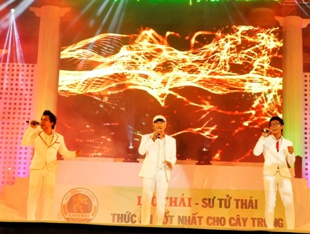   Các chàng trai MTV với bài