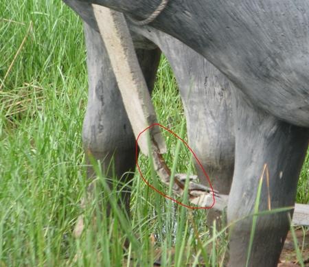 ...với các phần bị hư hỏng (