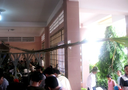 Cây mía dài 12m, quả mướp dài... 2m - 6 Quả mướp dài 2m, người ta phải dùng những thanh tre chắp vào để khỏi bị gãy.