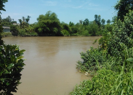 Vàm Tân Dinh - nơi sà lan neo đậu trong vụ đánh bạc.