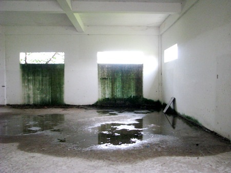 "Khó hiểu" trong việc bồi thường cho ngôi nhà bỏ hoang - 5 Bên trong công trình bỏ hoang