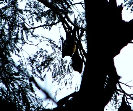 ...với hoạt động thường nhật của các nhà sư.