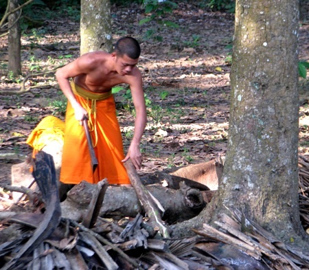 ...với hoạt động thường nhật của các nhà sư.