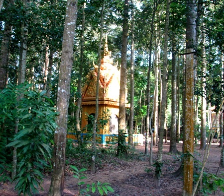 Một số nơi thờ cúng ẩn mình trong hàng cây cổ thụ cổ kính.