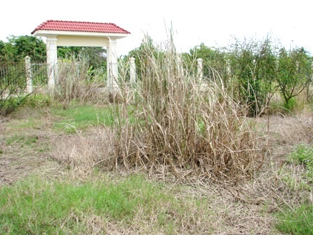 Hơn 2 năm xây dựng, trường học chỉ có cổng và hàng rào - 6 ...nhưng bên trong là bãi đất trống, cỏ hoang mọc tum tùm. (Ảnh: Huỳnh Hải)