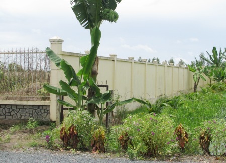 Hơn 2 năm xây dựng, trường học chỉ có cổng và hàng rào - 5 Điểm trường mới nhìn từ bên ngoài cổng và hàng rào khá chắc chắn...