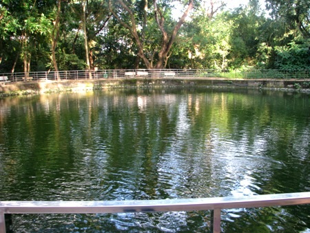 Hồ nước trong chùa mát rượi...