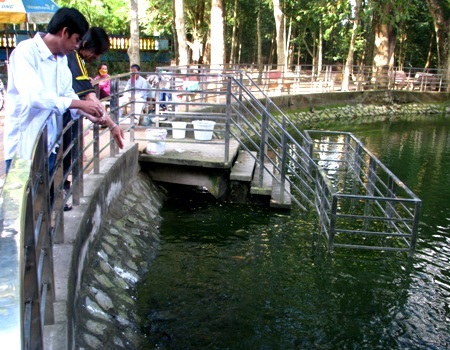 ...là nơi du khách có thể vừa nghỉ mát vừa cho cá ăn để giải trí.