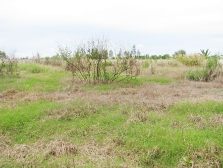 Hơn 2 năm xây dựng, trường học chỉ có cổng và hàng rào - 8 ...nhưng bên trong là bãi đất trống, cỏ hoang mọc tum tùm. (Ảnh: Huỳnh Hải)