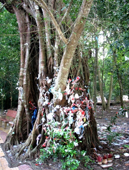 ... để phật tử gửi gắm ước nguyện tâm linh.