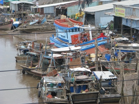 Nhiều tàu thuyền đã neo đậu vào bờ