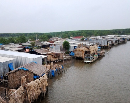 Phá rừng vì... nghèo - 2 Hầu hết cuộc sống của người dân ở xung quanh rừng quốc gia Cà Mau rất nghèo khó