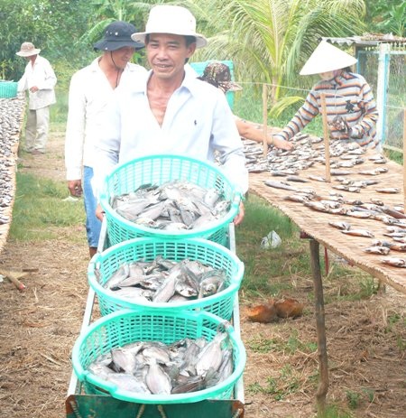 Người dân làm khô cá bổi bán Tết.