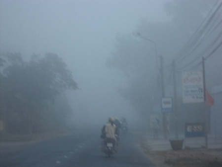 Sương mù xuất hiện dày đặc ở Sóc Trăng sáng ngày 7/2. (Ảnh: Bạch Dương)