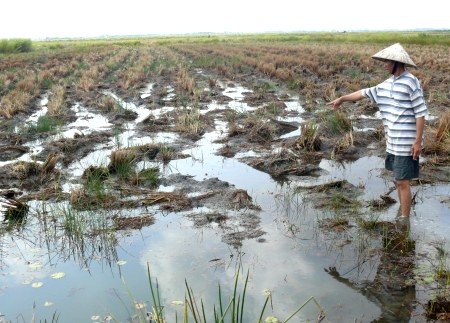 Vụ dân kéo đến UBND kiện cán bộ: Làm rõ sai phạm của cán bộ